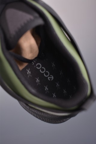 ECCO Biom view 9