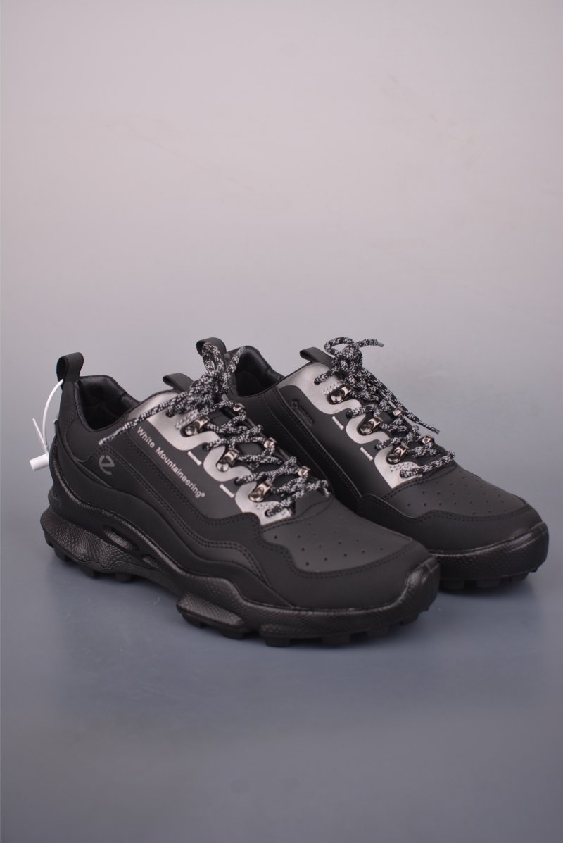 ECCO Biom