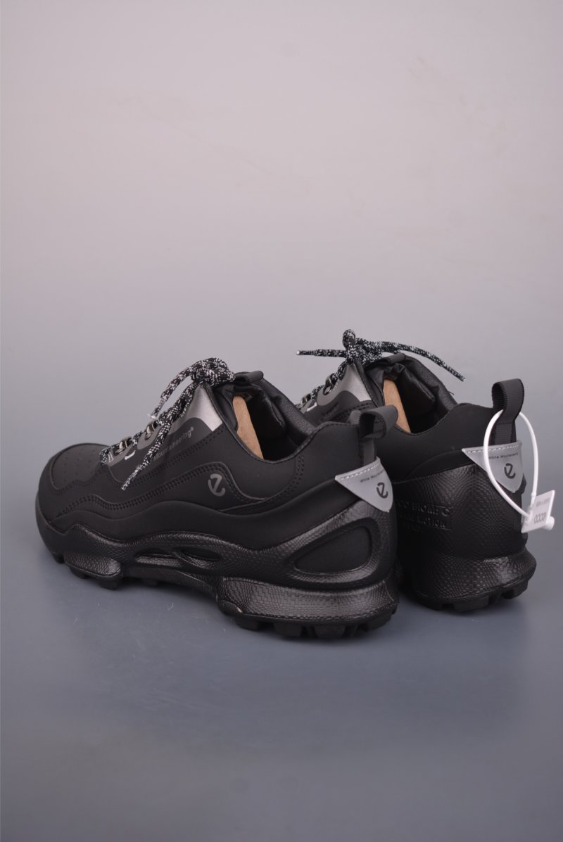 ECCO Biom view