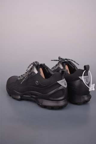 ECCO Biom view 2
