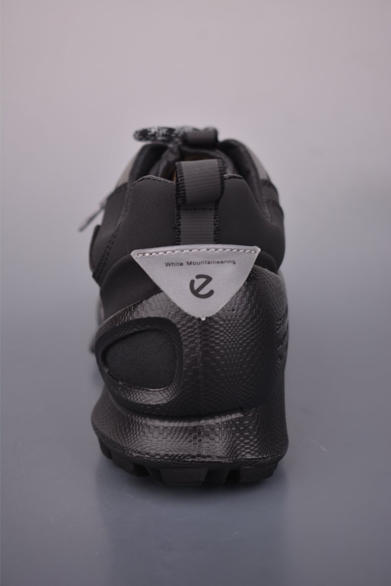 ECCO Biom view