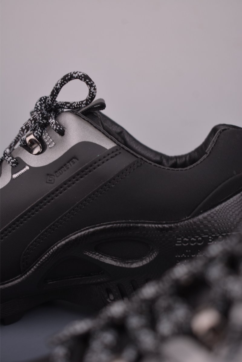 ECCO Biom view