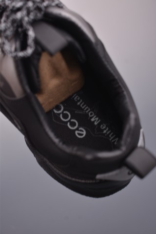 ECCO Biom view 9