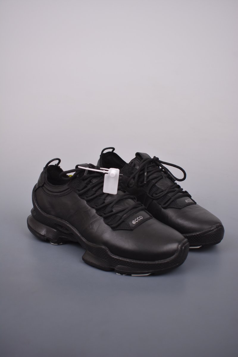 ECCO Biom