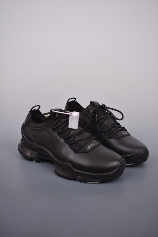 ECCO Biom view 1