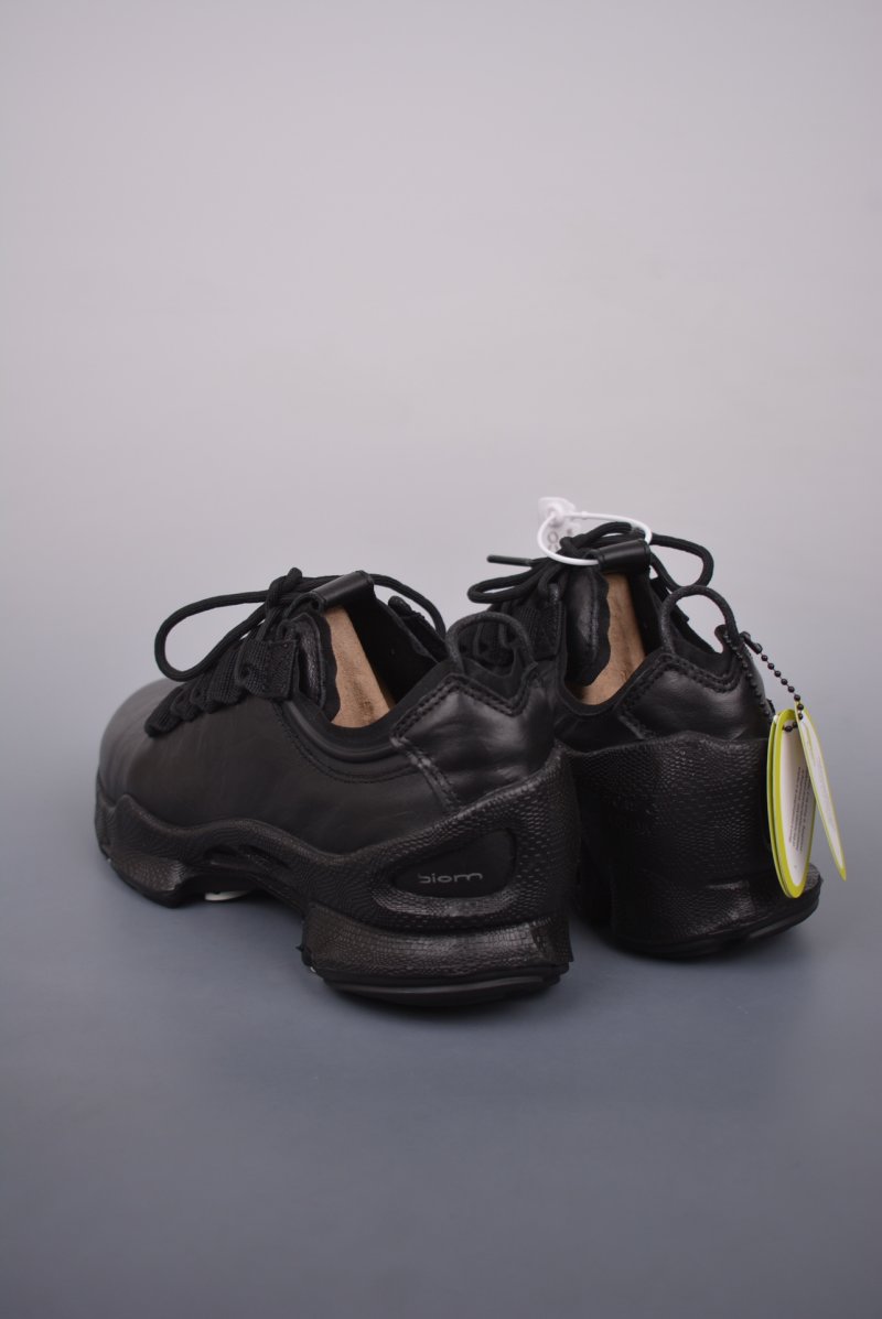 ECCO Biom view