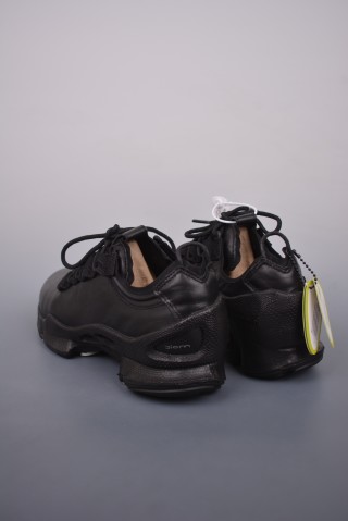 ECCO Biom view 2