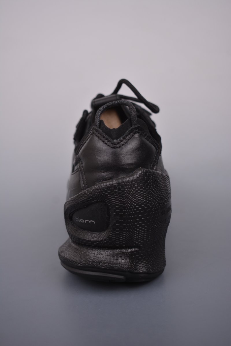 ECCO Biom view