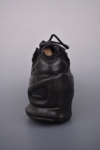 ECCO Biom view 4