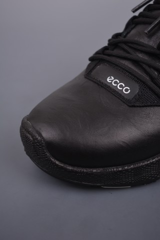 ECCO Biom view 6
