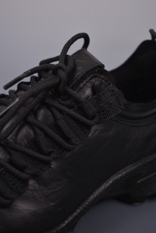 ECCO Biom view 7