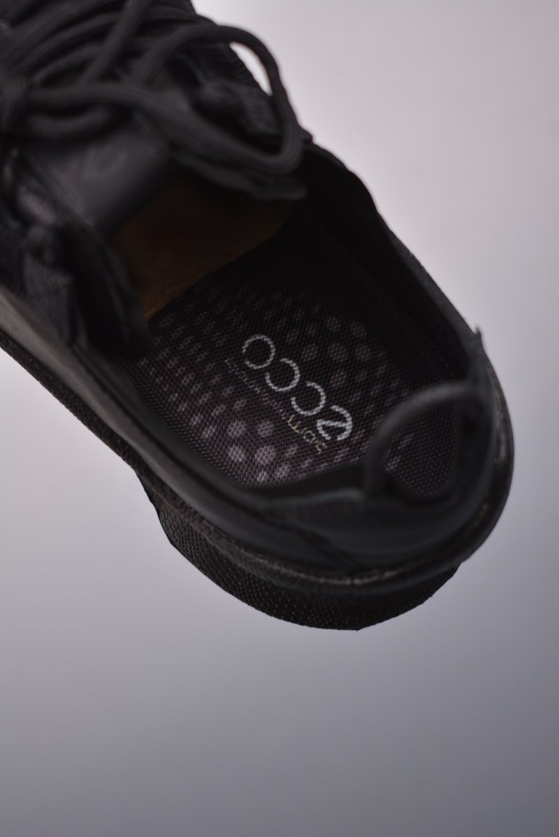 ECCO Biom view