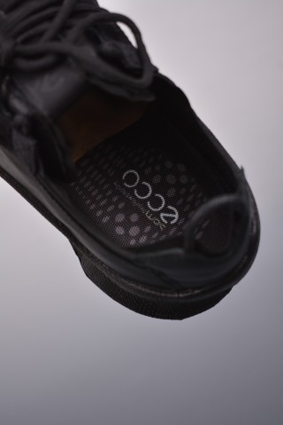 ECCO Biom view 9