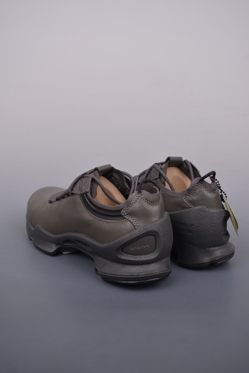 ECCO Biom view