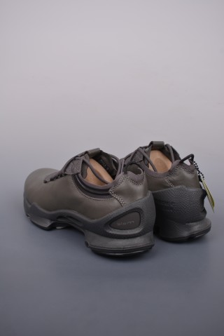 ECCO Biom view 2