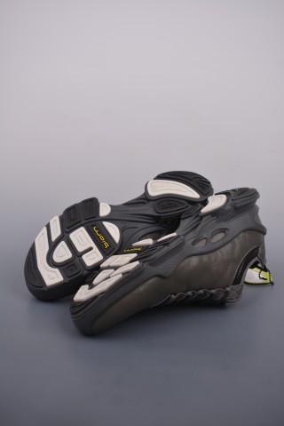 ECCO Biom view 3
