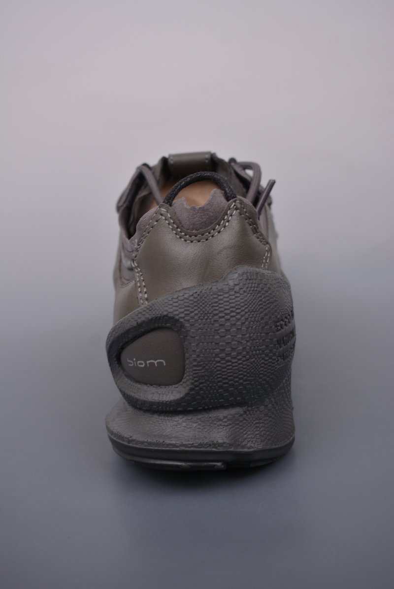 ECCO Biom view