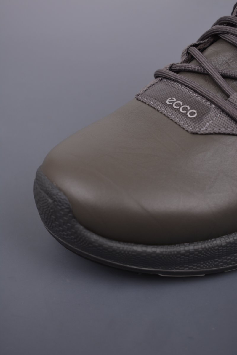 ECCO Biom view