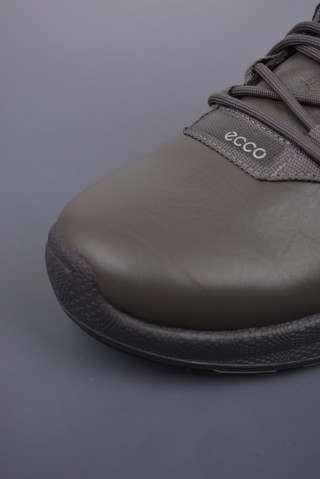 ECCO Biom view 6