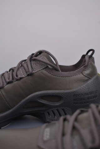 ECCO Biom view 8
