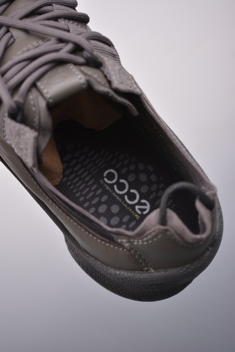 ECCO Biom view