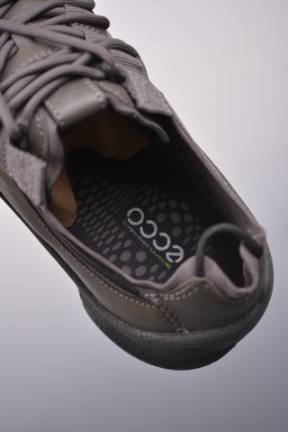 ECCO Biom view 9
