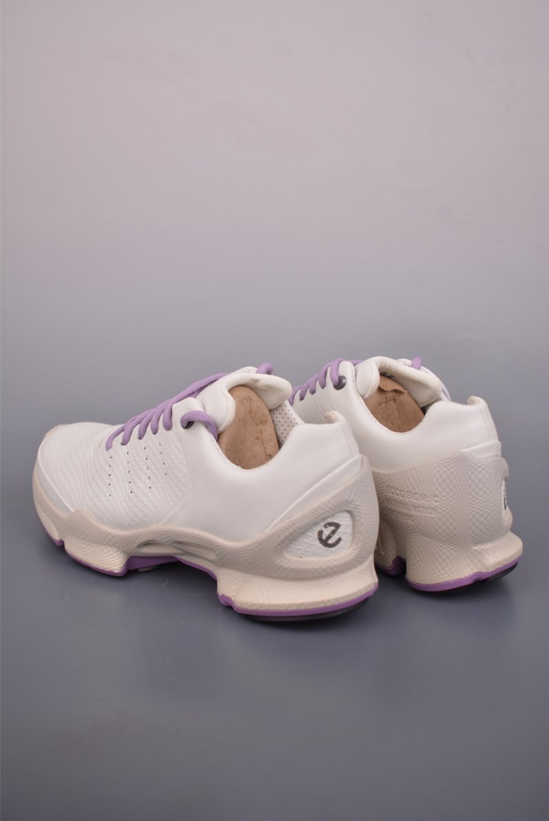 ECCO Biom view