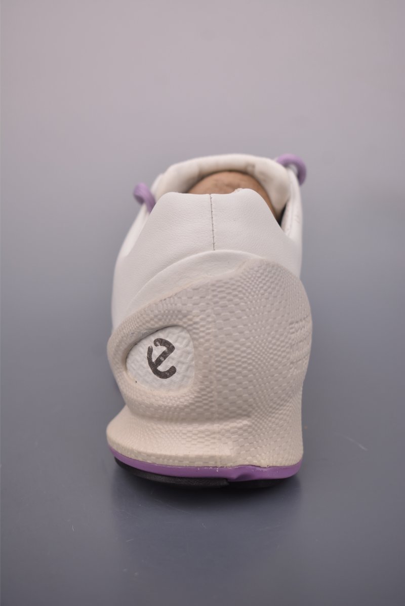 ECCO Biom view