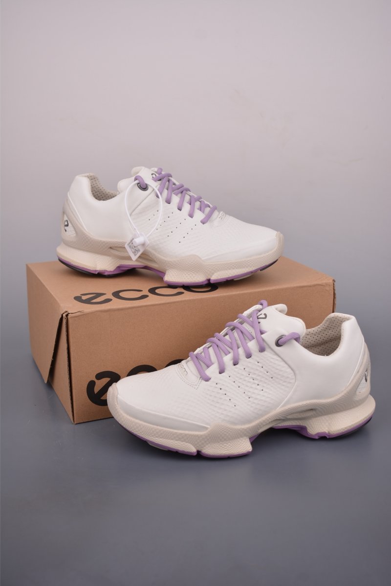 ECCO Biom view