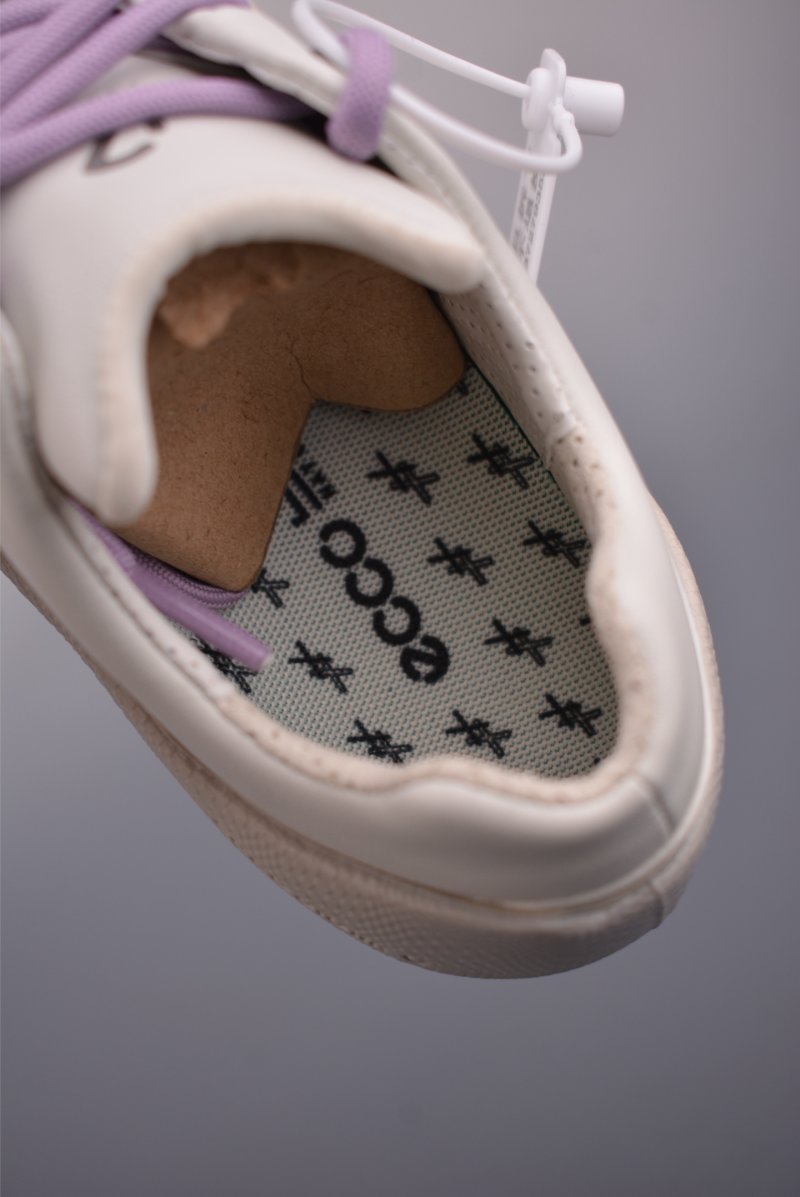 ECCO Biom view
