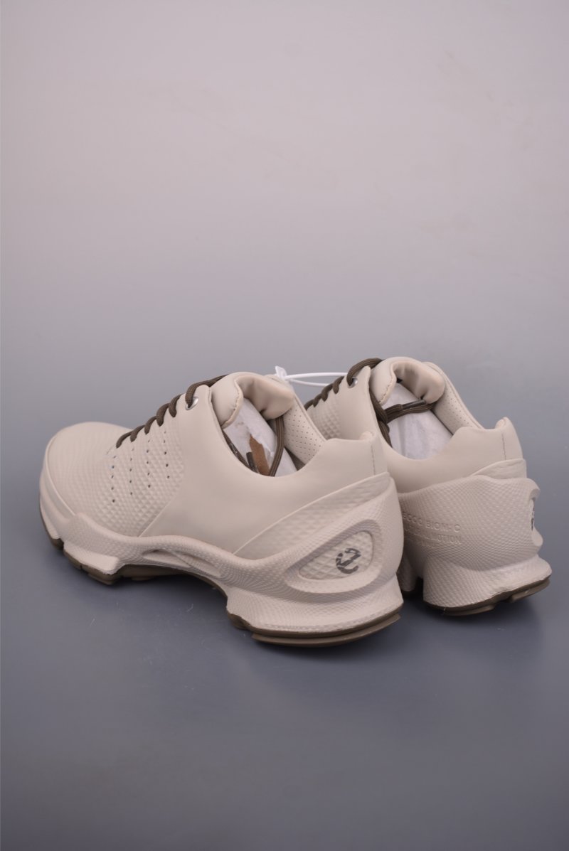 ECCO Biom view