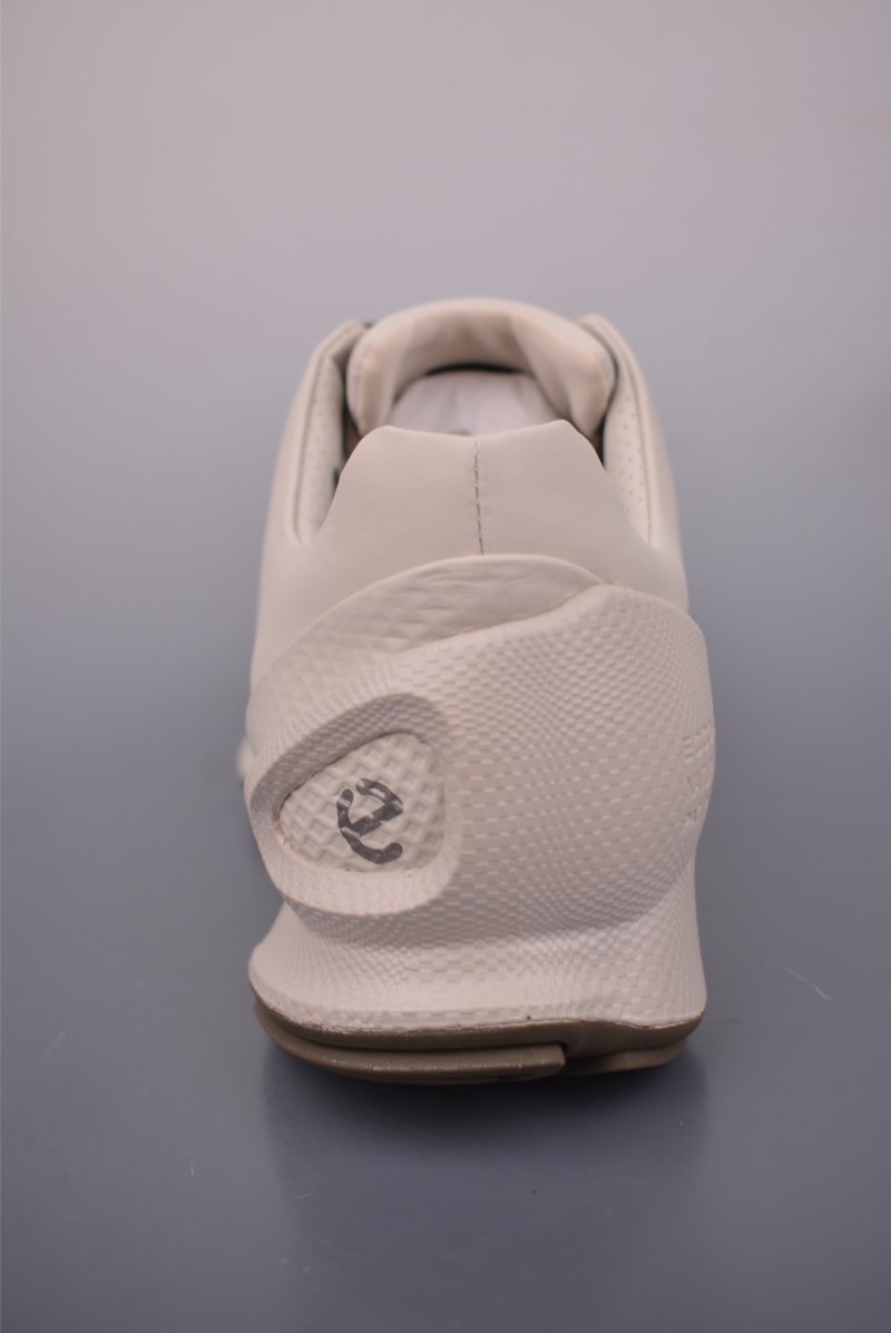 ECCO Biom view