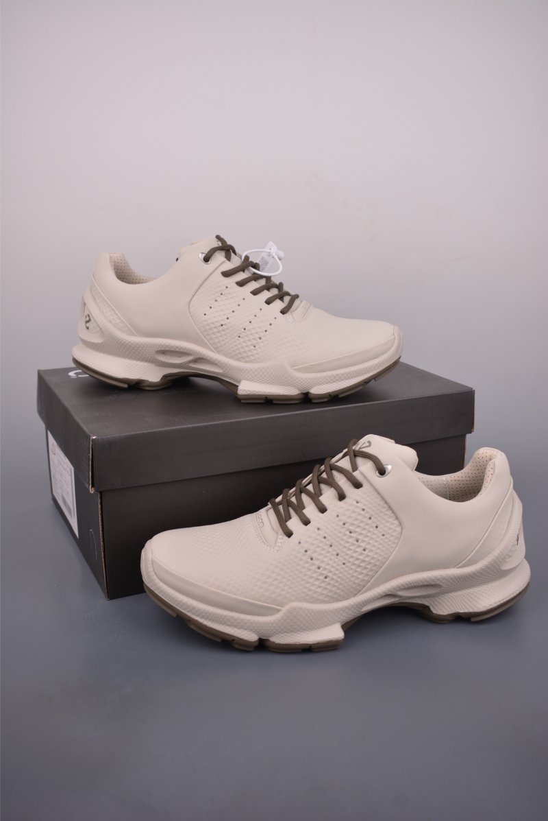 ECCO Biom view