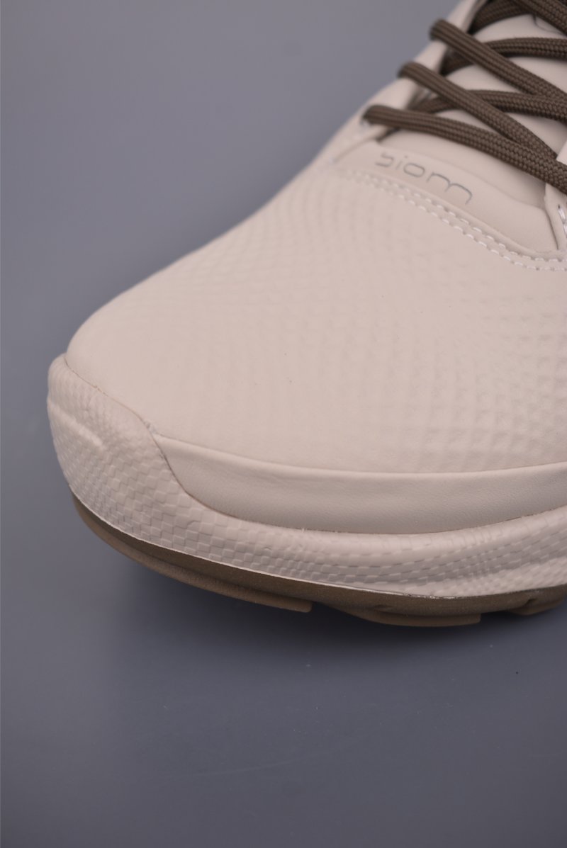ECCO Biom view