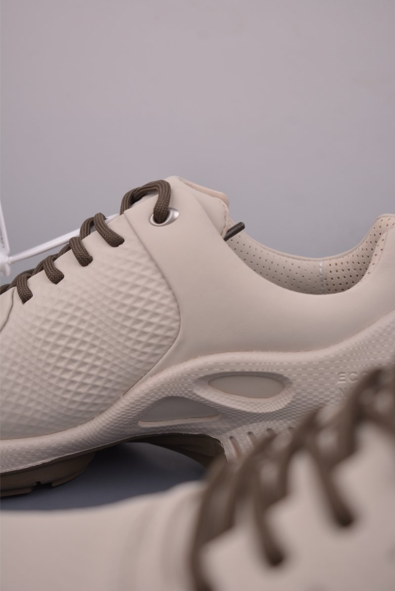 ECCO Biom view