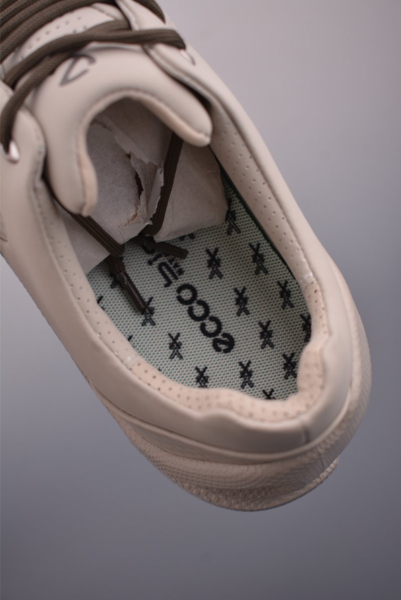 ECCO Biom view