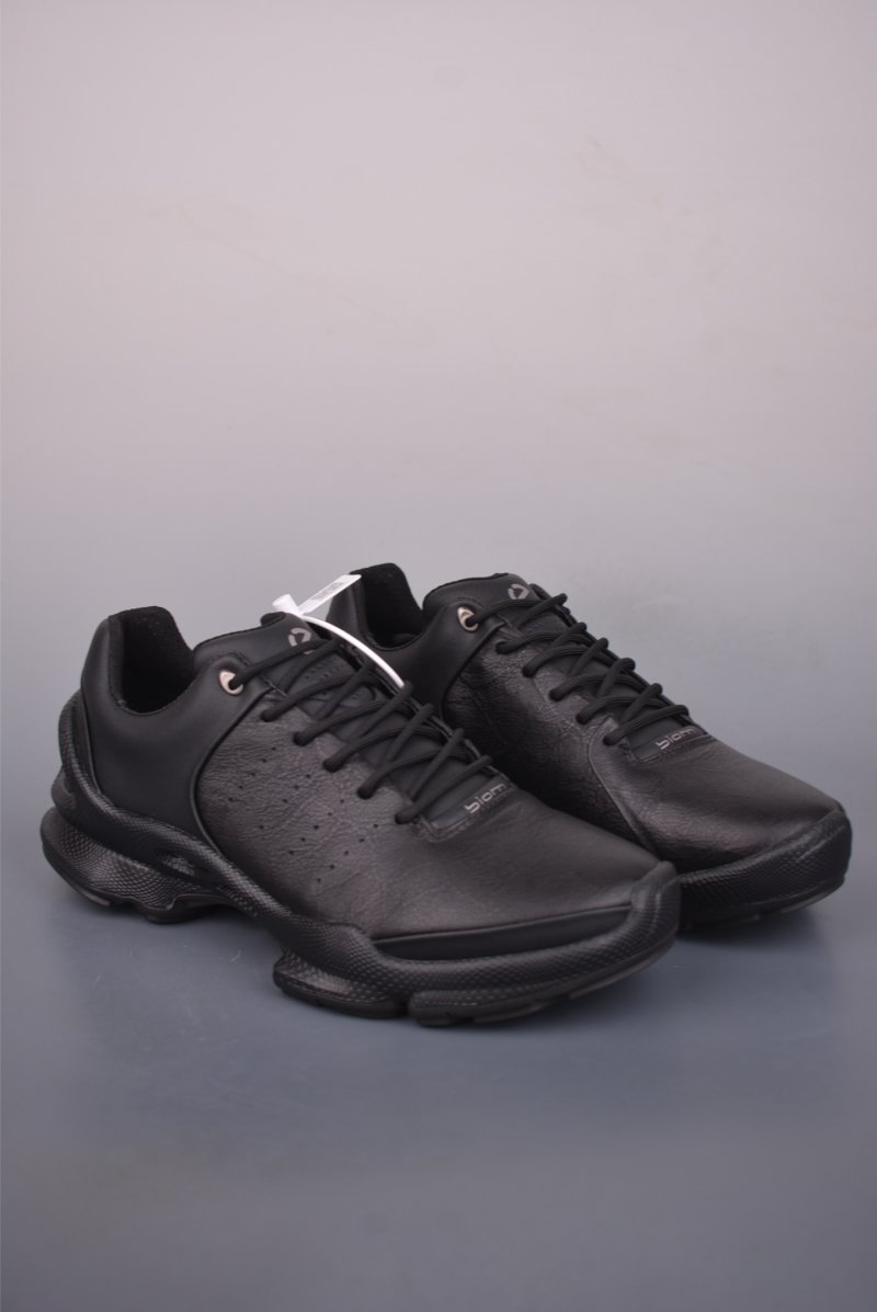 ECCO Biom