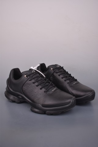 ECCO Biom view 1