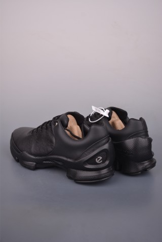 ECCO Biom view 2