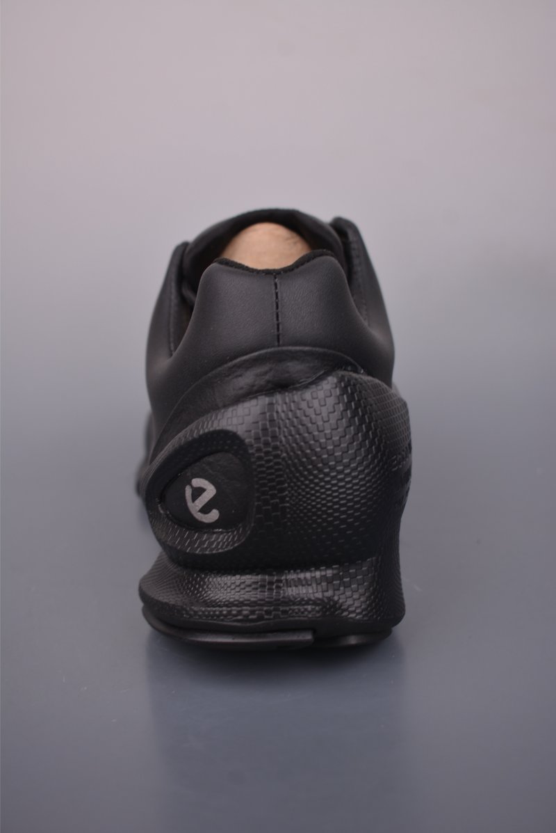 ECCO Biom view