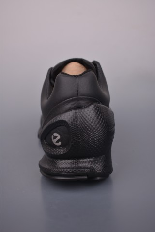 ECCO Biom view 4