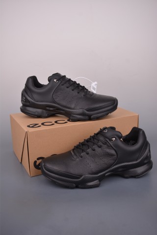 ECCO Biom view 5