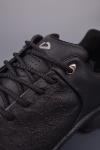 ECCO Biom view 7