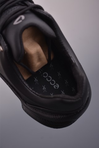 ECCO Biom view 9