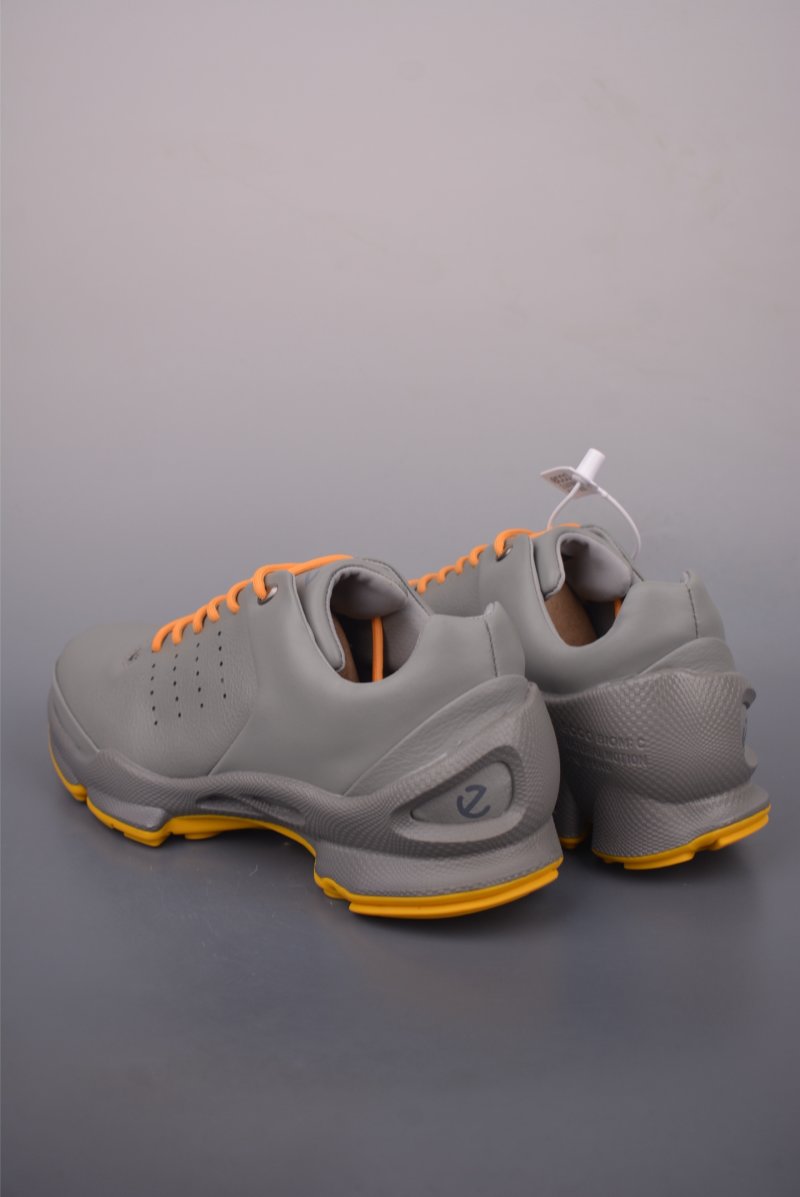 ECCO Biom view