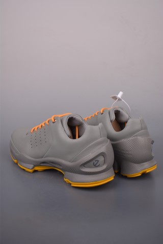 ECCO Biom view 11