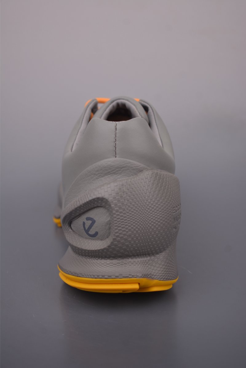 ECCO Biom view