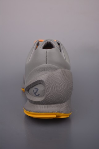 ECCO Biom view 13