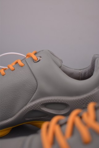 ECCO Biom view 17