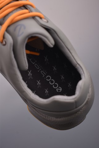 ECCO Biom view 18